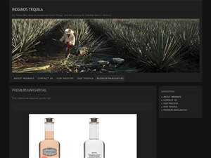 Web Design by Tezi Design for Arriba Marketing Group, Inc. | Design: #1092077