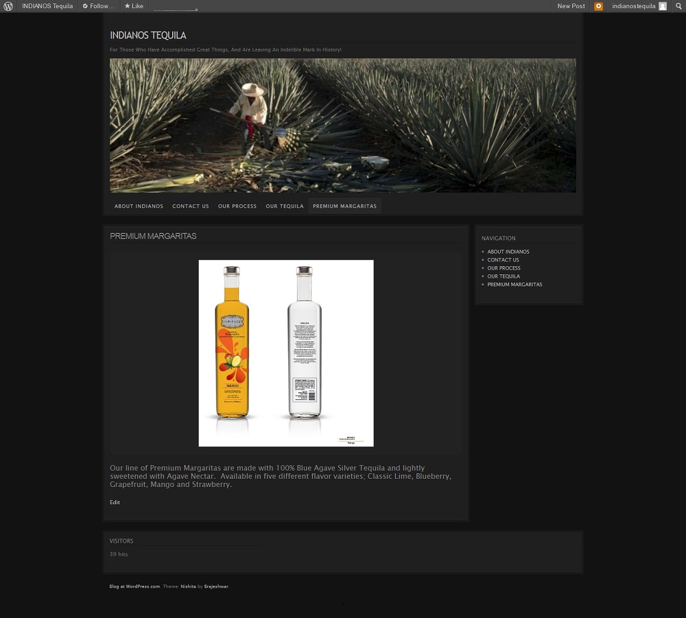 Web Design par Tezi Design pour Arriba Marketing Group, Inc. | Design #1099190