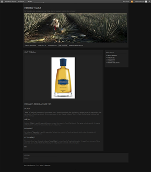 Web Design by Tezi Design for Arriba Marketing Group, Inc. | Design: #1099191