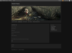 Web Design by Tezi Design for Arriba Marketing Group, Inc. | Design: #1099194