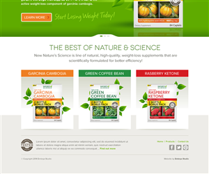 Web Design by Channel Studio for this project | Design: #3988907