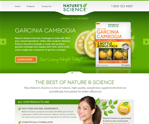 Web Design by Channel Studio for this project | Design: #4008937
