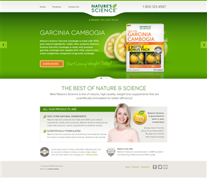 Web Design by Channel Studio for this project | Design: #4019291