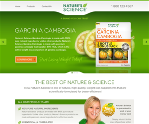 Web Design by Channel Studio for this project | Design: #4019321