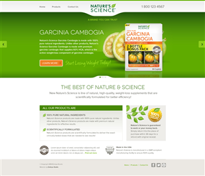 Web Design by Channel Studio for this project | Design: #4019330