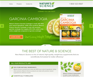 Web Design by Channel Studio for this project | Design: #4019332