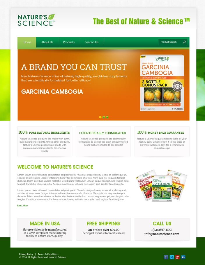 Web Design by Expert Designer for this project | Design #4006846