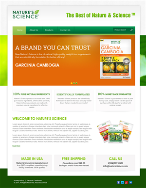 Web Design by Expert Designer for this project | Design: #4006846
