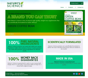 Web Design by Expert Designer for this project | Design: #4010356