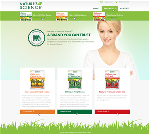 Web Design by Emmanuel for this project | Design: #3967541