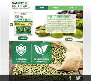 Web Design by Lilcess
