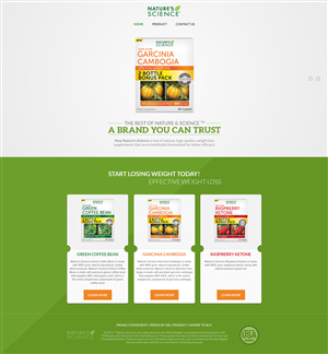 Web Design by AriefK for this project | Design: #3973896