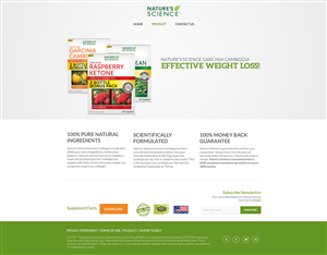 Web Design by AriefK for this project | Design: #3973942