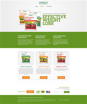Web Design by AriefK for this project | Design: #3973948