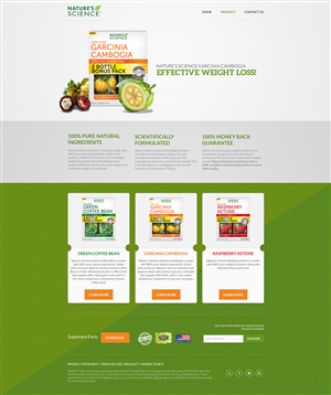 Web Design by AriefK for this project | Design: #3973960