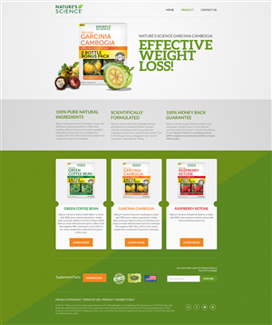 Web Design by AriefK for this project | Design: #3973969