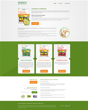 Web Design by AriefK for this project | Design: #3973976