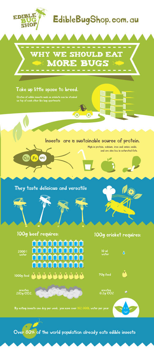 Poster Design by MNM for Butterfly Skye | Design #3924754