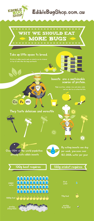 Edible insect info graphic banner design  | Diseño de Póster por MNM