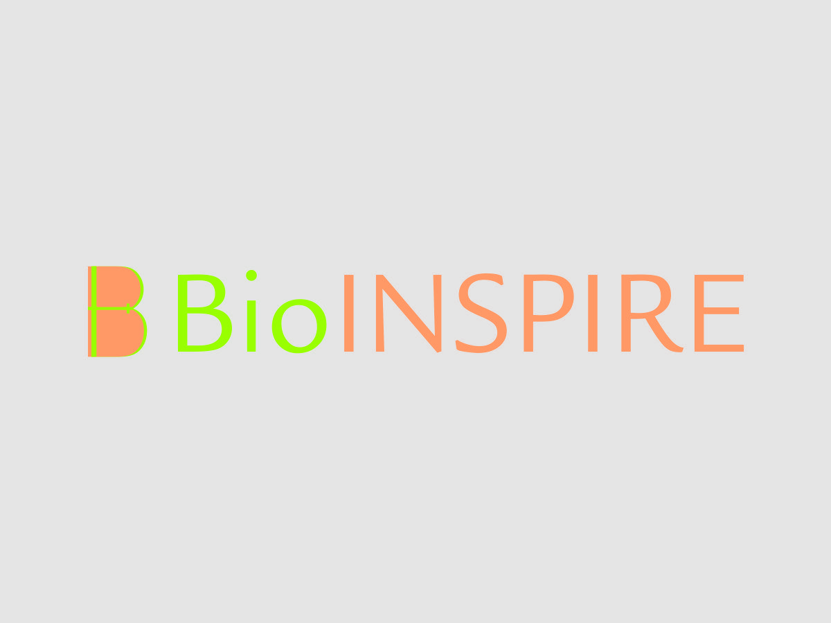 Diseño de Logo por  dexplorar para AccelSPINE | Diseño #3942918