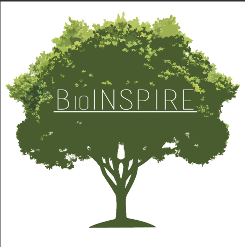 Logo Design by pippyle2 for AccelSPINE | Design #3920229