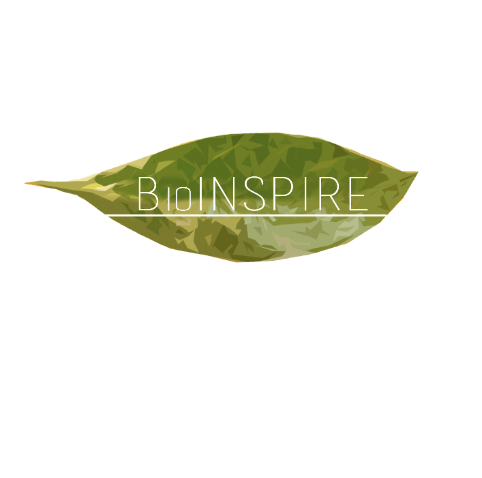 Diseño de Logo por pippyle2 para AccelSPINE | Diseño #3920324