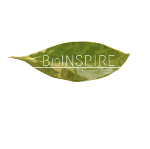 Diseño de Logo por pippyle2 para AccelSPINE | Diseño: #3920324