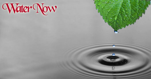 Logo Design by babulal1 for WaterNow Services and Solutions | Design #1069045