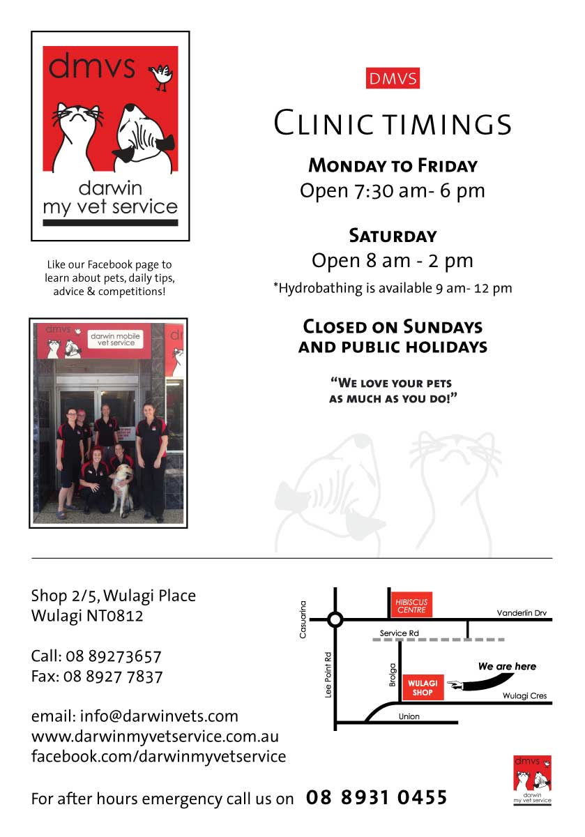 Flyer Design by SarahQ for Darwin My Vet Service | Design #3956330