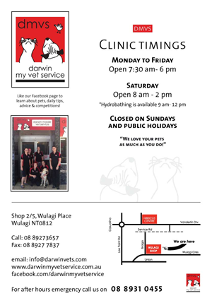 Flyer-Design von SarahQ für Darwin My Vet Service | Design: #3956330
