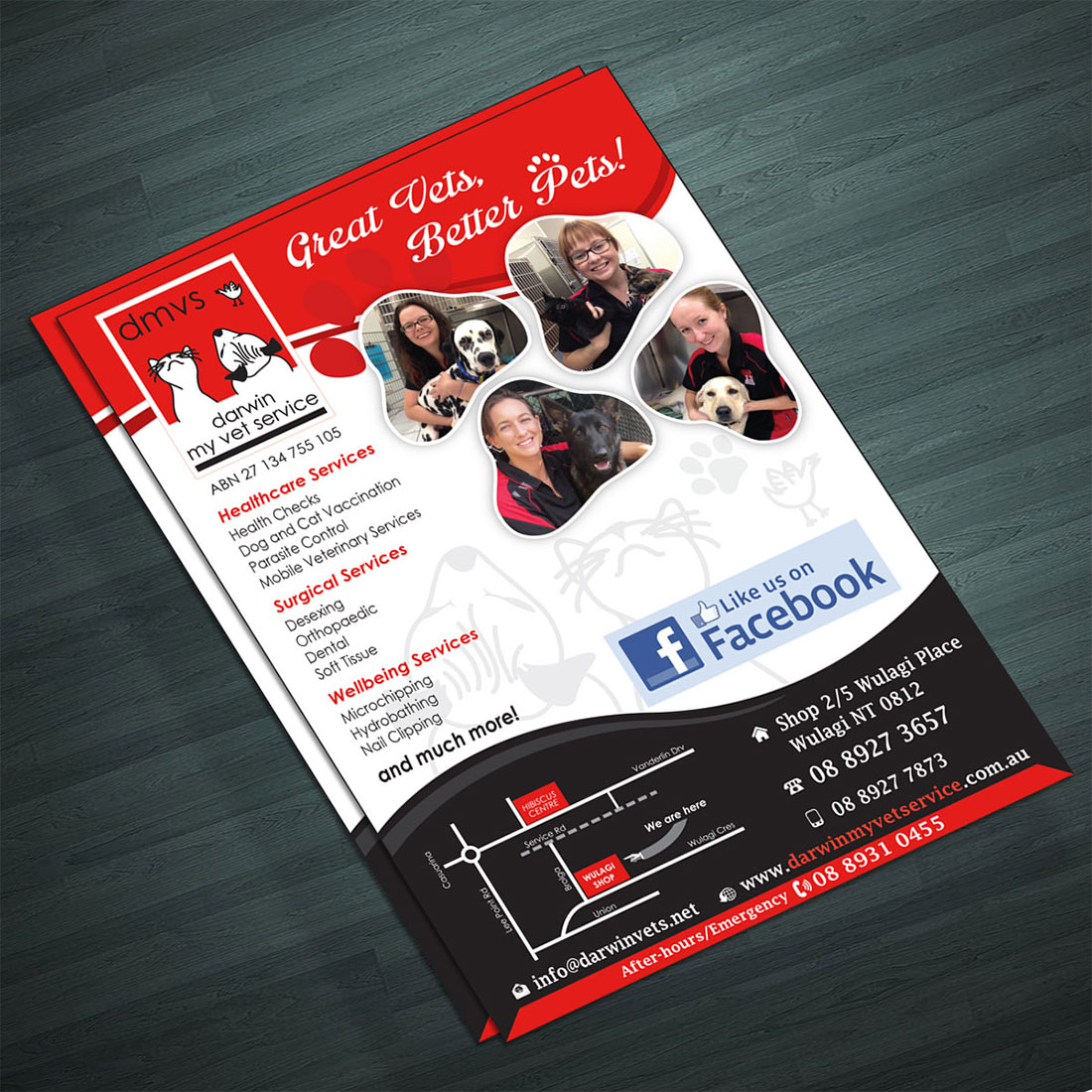 Flyer Design by Ramchander for Darwin My Vet Service | Design #3999308