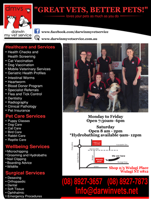 Diseño de Flyer por XanxuS para Darwin My Vet Service | Diseño #3954769