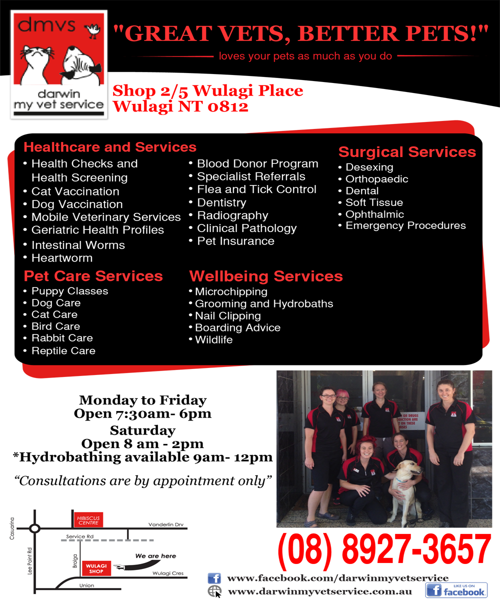 Flyer Design by XanxuS for Darwin My Vet Service | Design #3962016