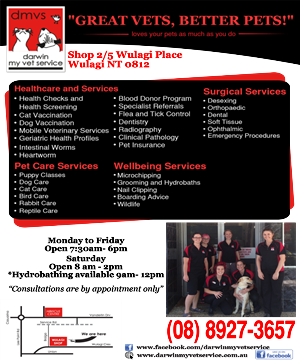 Flyer-Design von XanxuS für Darwin My Vet Service | Design: #3962016