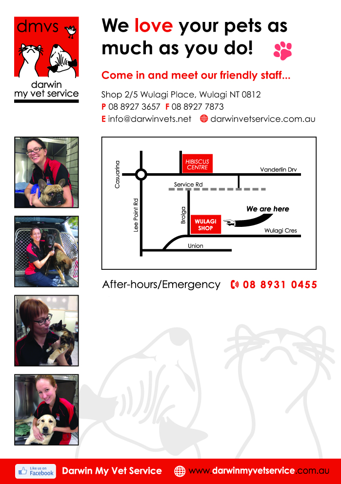 Diseño de Flyer por CazbarCreativeDesign para Darwin My Vet Service | Diseño #3984540