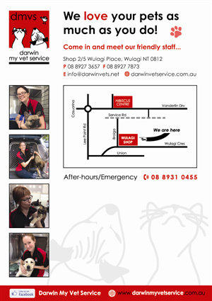 Diseño de Flyer por CazbarCreativeDesign para Darwin My Vet Service | Diseño #3984540