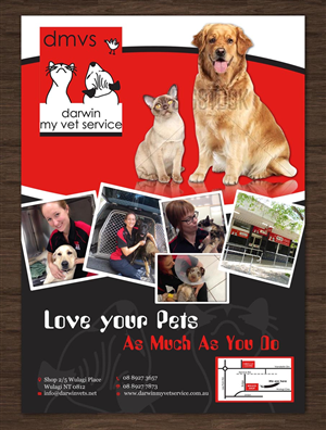 Diseño de Flyer por ESolz Technologies para Darwin My Vet Service | Diseño #3948117