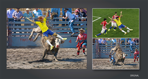 Photoshop Design by Vivid Concepts for DesignCrowd LLC | Design: #3967357