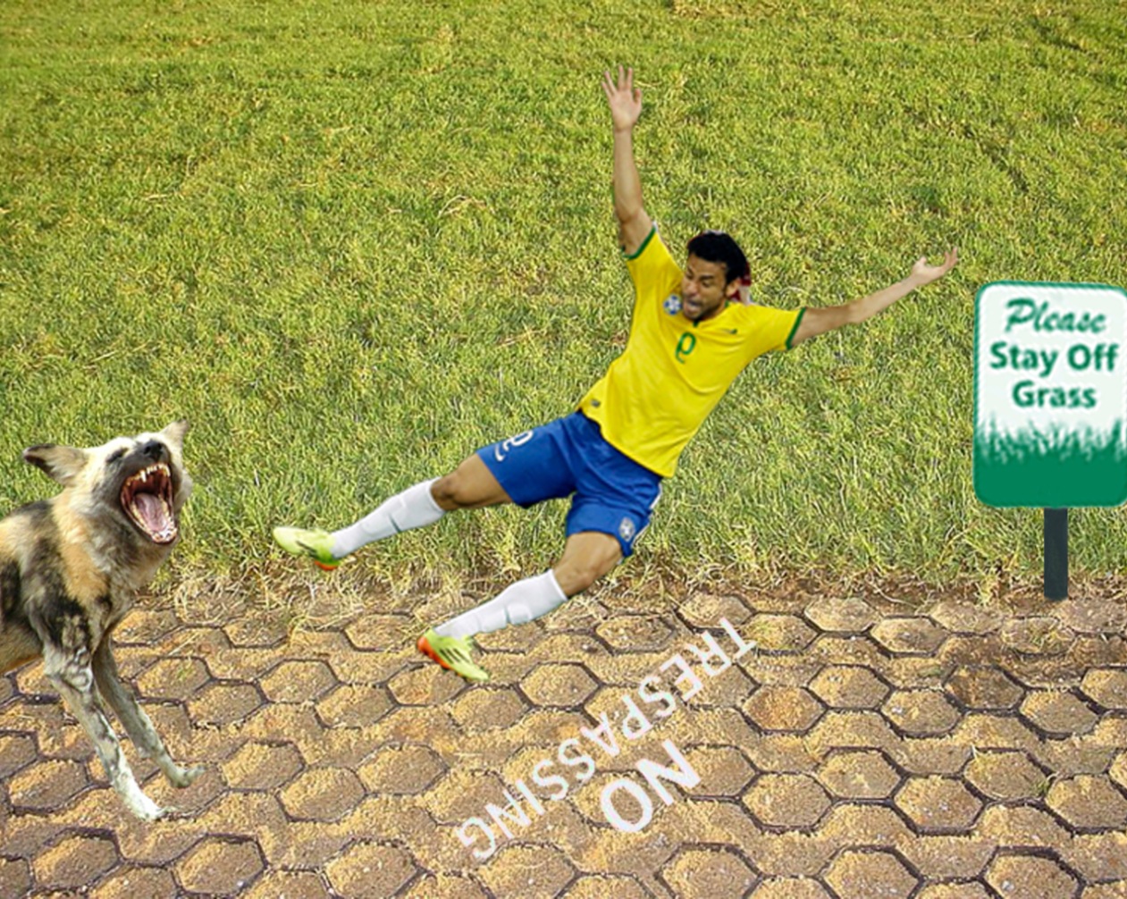 Photoshop Design by Framcismn for DesignCrowd LLC | Design #3976614