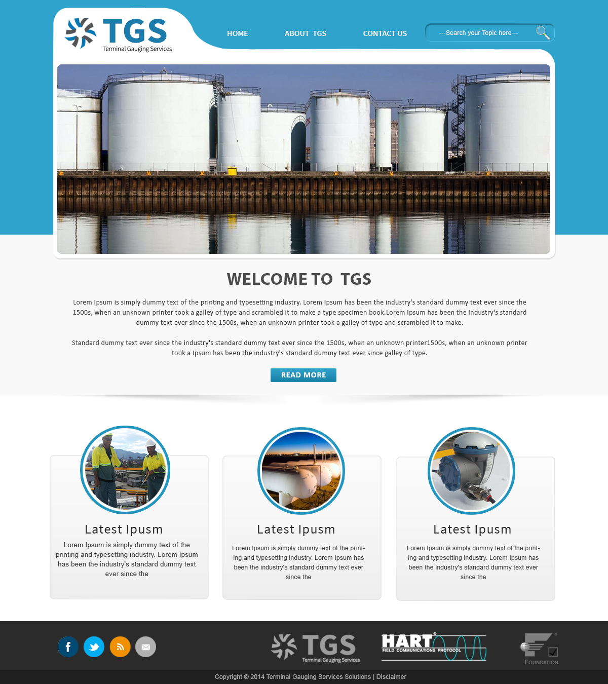Diseño Web por webxvision para terminal gauging services | Diseño #3948430
