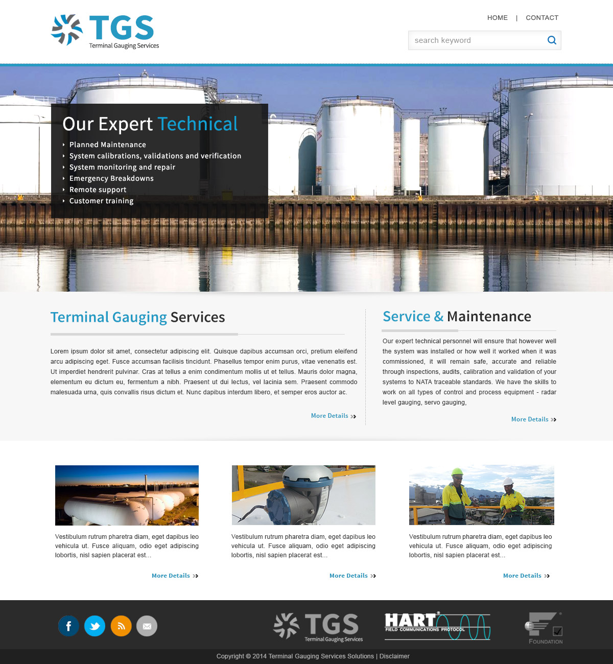 Diseño Web por webxvision para terminal gauging services | Diseño #3948440