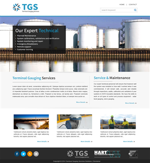 Diseño Web por webxvision para terminal gauging services | Diseño #3948440