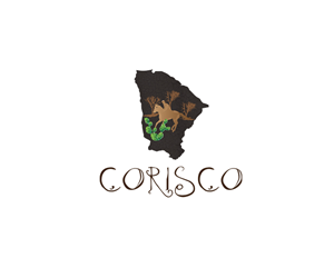 Logo Design by Illuminati for Corisco | Design #4034425
