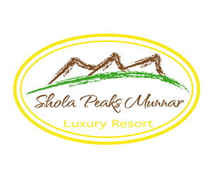 Logo Design by IT Design