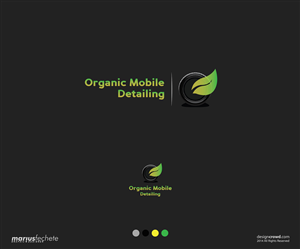 Logo Design by Marius Fechete for this project | Design: #3960942