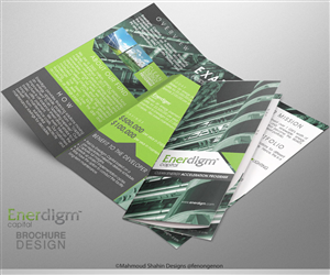 Project Finance Brochure | Brochure Design by Mahmoud Shahin