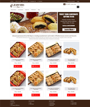 Web Design by Jatin Ratra