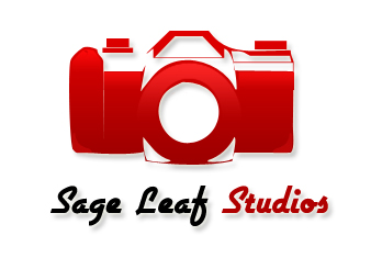 Logo Design by 1dedeng for this project | Design #132897