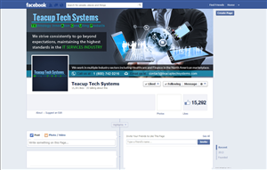 Facebook Design by Web Skippers