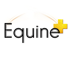 Logo Design by ismieadi